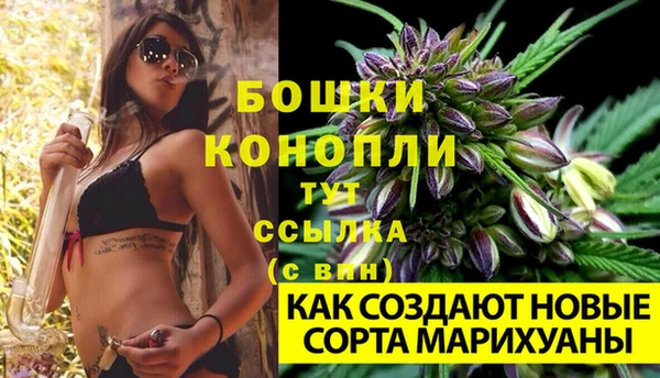 mdpv Гусев